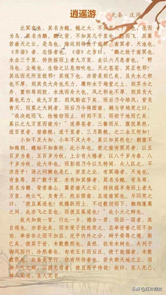 逍遙游最新章節(jié)探索與爭(zhēng)議閱讀