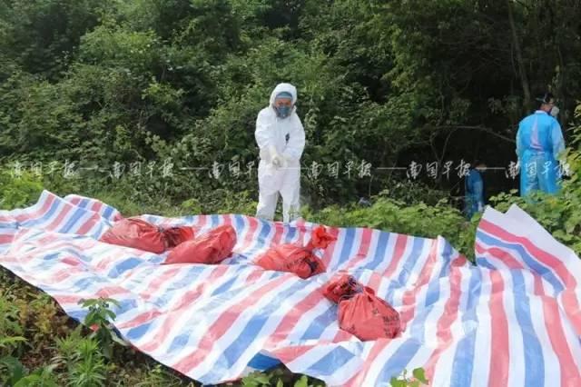 江門殺人案最新動態(tài)，鄰里溫情與友誼的力量，日常故事展現(xiàn)溫情力量