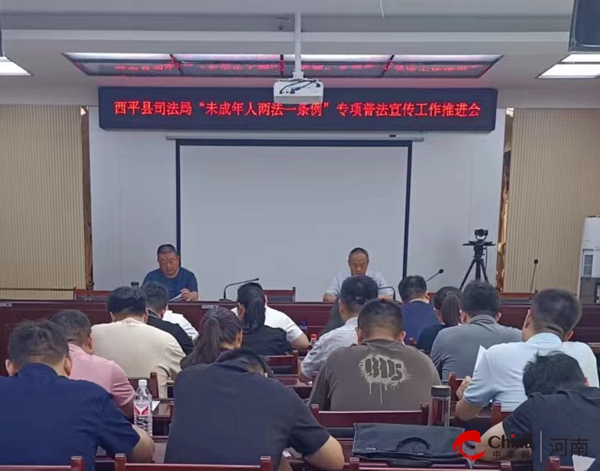 河南西平新聞最新動(dòng)態(tài)，小巷深處的獨(dú)特風(fēng)味