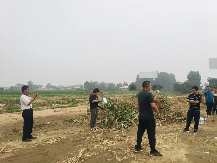 永年區(qū)最新工程項(xiàng)目，時(shí)代印記與未來展望之路